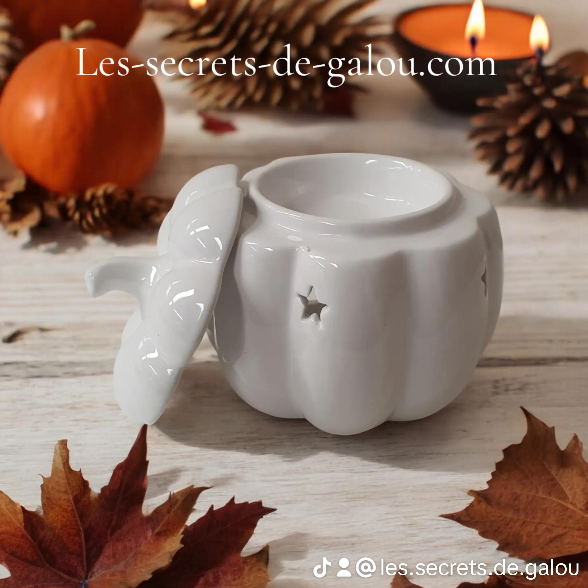 Collection automne halloween